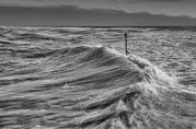 Des King - A cruel Sea